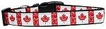 Canadian Flag in Swirls Nylon Dog Collar