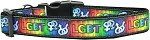 LGBT Nylon Dog Collar (size: large)