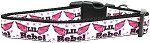 Lil' Rebel Nylon Dog Collar (size: large)