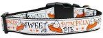 Pumpkin Pie Nylon Dog Collar (size: large)
