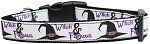 Witch and Famous Nylon Dog Collar (size: large)