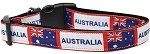 Australia Nylon Dog Collar (size: large)