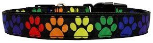 Rainbow Paws Nylon Dog Collar (size: LG)