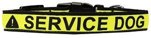Service Dog Caution Tape Nylon Dog Collar (size: large)