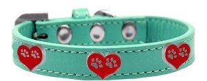 Paw Heart Widget Dog Collar (size: Aqua Size 10)