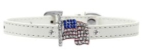 Flag Charm Dog Collar