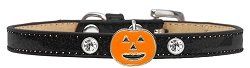 Pumpkin Charm Dog Collar (size: Black Ice Cream Size 10)