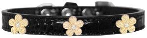 Gold Flower Widget Croc Dog Collar (size: Black Size 10)