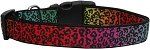 Rainbow Leopard Nylon Dog Collar (size: Medium Narrow)