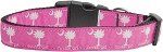 Carolina Girl Nylon Dog Collar (size: Medium Narrow)