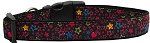 Black Star Nylon Dog Collar (size: Medium Narrow)