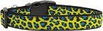 Blue and Yellow Leopard Nylon Dog Collar (size: Medium Narrow)